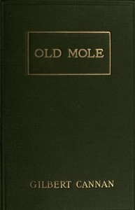 Old Mole  Being the Surprising Adventures in England of Herbert Jocelyn Beenham, M.A., Sometime Sixth-Form Master at Thrigsby Grammar School in the County of Lancaster