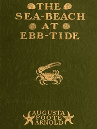The Sea-beach at Ebb-tide  A Guide to the Study of the Seaweeds and the Lower Animal Life Found Between Tide-marks