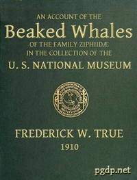 The Beaked Whales of the Family Ziphiidae  An Account of the Beaked Whales of the Family Ziphiidae in the Collection of the United States Museum...