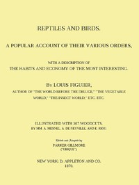 Reptiles and Birds  A Popular Account of Their Various Orders, With a Description of the Habits and Economy of the Most Interesting
