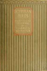 Egyptian Birds For the most part seen in the Nile Valley
