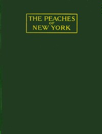 The peaches of New York