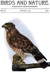 Birds and Nature Vol. 11 No. 2 [February 1902] Illustrated by Color Photography