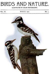 Birds and Nature Vol. 11 No. 3 [March 1902] Illustrated by Color Photography