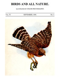Birds and All Nature, Vol. 4, No. 3, September 1898  Illustrated by Color Photography