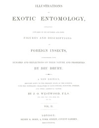 Illustrations of Exotic Entomology, Volume 2