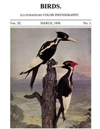 Birds and All Nature, Vol. 3, No. 3, March 1898  Illustrated by Color Photography