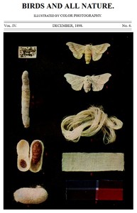 Birds and All Nature, Vol. 4, No. 6, December 1898  Illustrated by Color Photography