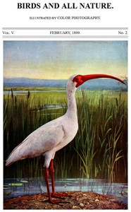 Birds and All Nature, Vol. 5, No. 2, February 1899  Illustrated by Color Photography