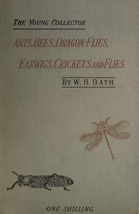The Young Collector's Handbook of Ants, Bees, Dragon-flies, Earwigs, Crickets, and Flies  (Hymenoptera, Neuroptera, Orthoptera, Hemiptera, Diptera).