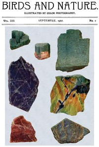 Birds and Nature, Vol. 12 No. 2 [July 1902] Illustrated by Color Photography