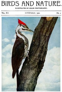Birds and Nature, Vol. 12 No. 4 [September 1902] Illustrated by Color Photography