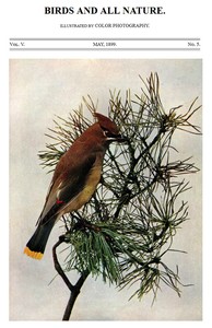 Birds and All Nature, Vol. 5, No. 5, May 1899  Illustrated by Color Photography