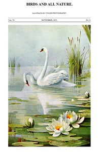 Birds and All Nature, Vol. 6, No. 2, September 1899  Illustrated by Color Photography