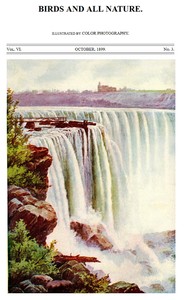 Birds and All Nature, Vol. 6, No. 3, October 1899  Illustrated by Color Photography