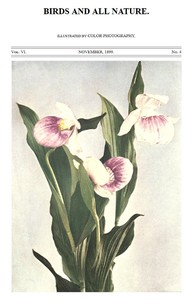 Birds and All Nature, Vol. 6, No. 4, November 1899  In Natural Colors