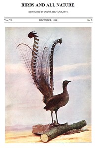 Birds and All Nature, Vol. 6, No. 5, December 1899  Illustrated by Color Photography