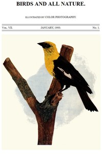 Birds and All Nature, Vol. 7, No. 1, January 1900  Illustrated by Color Photography