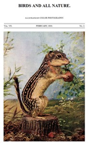 Birds and All Nature, Vol 7, No. 2, February 1900  Illustrated by Color Photography