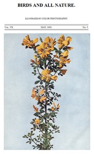 Birds and All Nature, Vol. 7, No. 5, May 1900  Illustrated by Color Photography