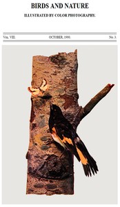 Birds and Nature Vol. 08, No. 3, October 1900  Illustrated by Color Photography