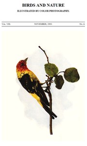 Birds and Nature, Vol. 08, No. 4, November 1900  Illustrated by Color Photography
