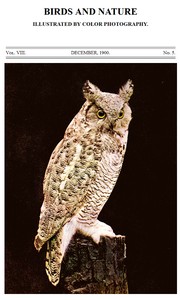 Birds and Nature, Vol. 08, No. 5, December 1900  Illustrated by Color Photography