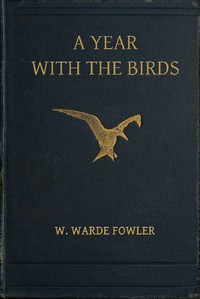 A Year with the Birds Third Edition, Enlarged