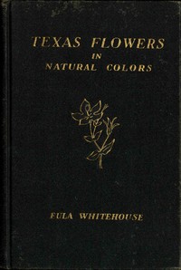 Texas Flowers in Natural Colors