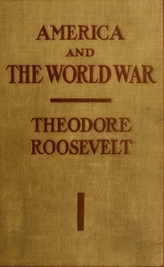 America and the World War