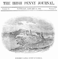 The Irish Penny Journal, Vol. 1 No. 29, January 16, 1841