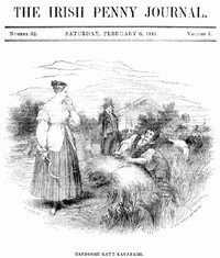 The Irish Penny Journal, Vol. 1 No. 32, February 6, 1841