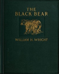 The Black Bear