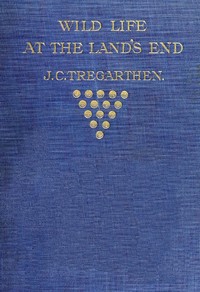 Wild Life at the Land's End  Observations of the Habits and Haunts of the Fox, Badger, Otter, Seal, Hare and of Their Pursuers in Cornwall