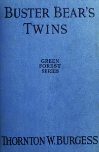 Buster Bear's Twins