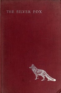 The Silver Fox