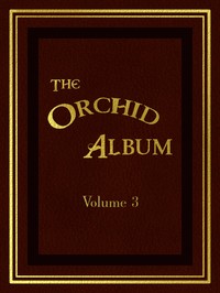 The Orchid Album, Volume 3  Comprising Coloured Figures and Descriptions of New, Rare, and Beautiful Orchidaceous Plants