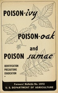 Poison-ivy, poison-oak and poison sumac