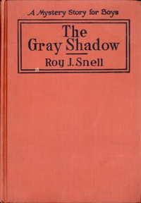 The Gray Shadow A Mystery Story For Boys