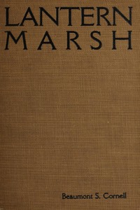 Lantern Marsh
