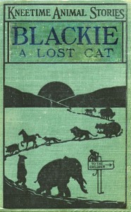 Blackie, a Lost Cat: Her Many Adventures