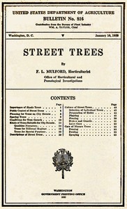 Street Trees