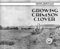 Growing Crimson Clover