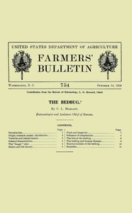 The Bedbug [1916]