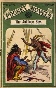 The Antelope Boy; or, Smoholler the Medicine Man  A Tale of Indian Adventure and Mystery