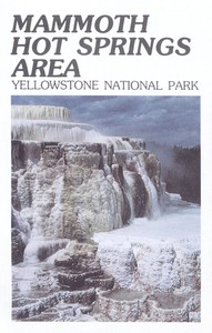 Mammoth Hot Springs Area: Yellowstone National Park