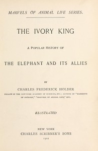 The ivory king
