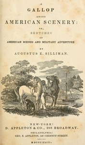 A gallop among American scenery  or, Sketches of American scenes and military adventure