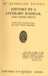 History of a literary radical, and other essays