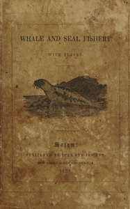 Catching of the whale and seal